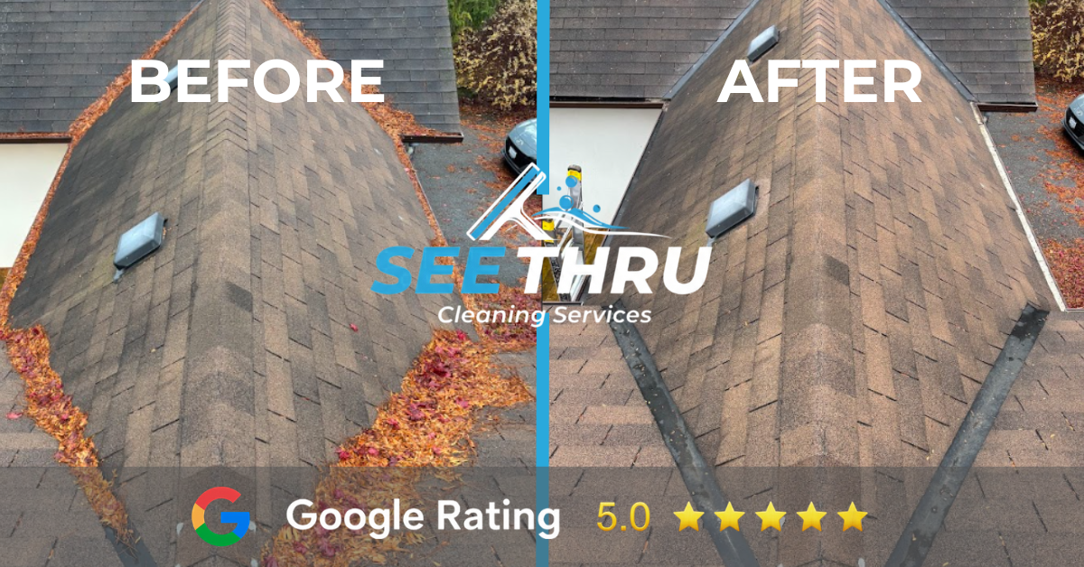 Gutter cleaning results