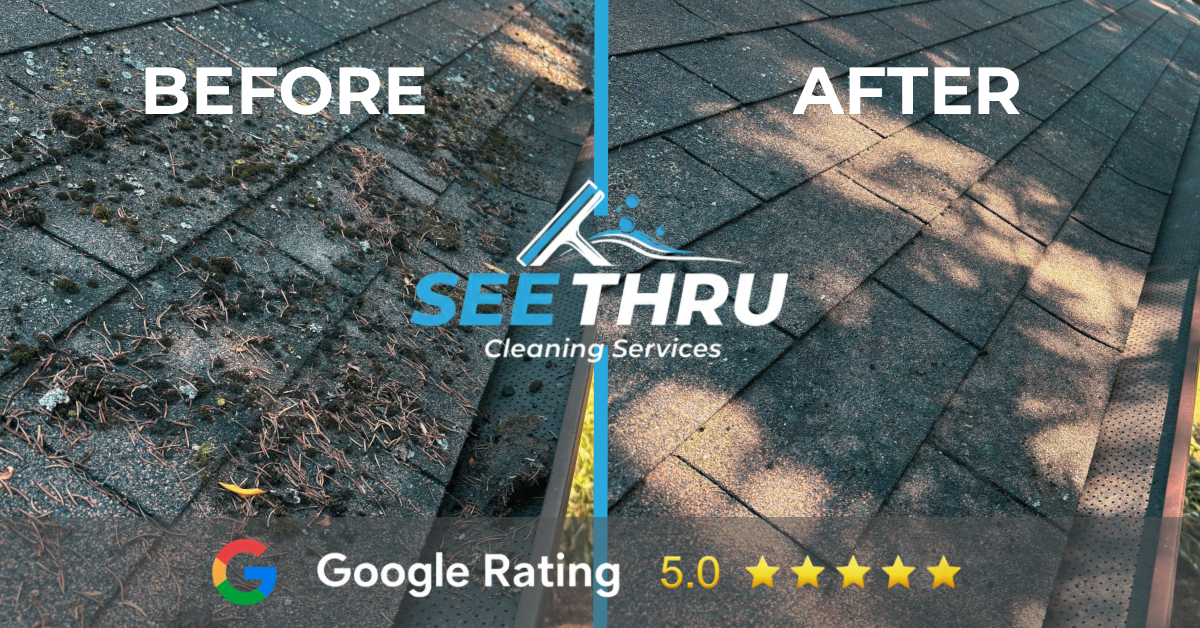 Roof and soffit cleaning