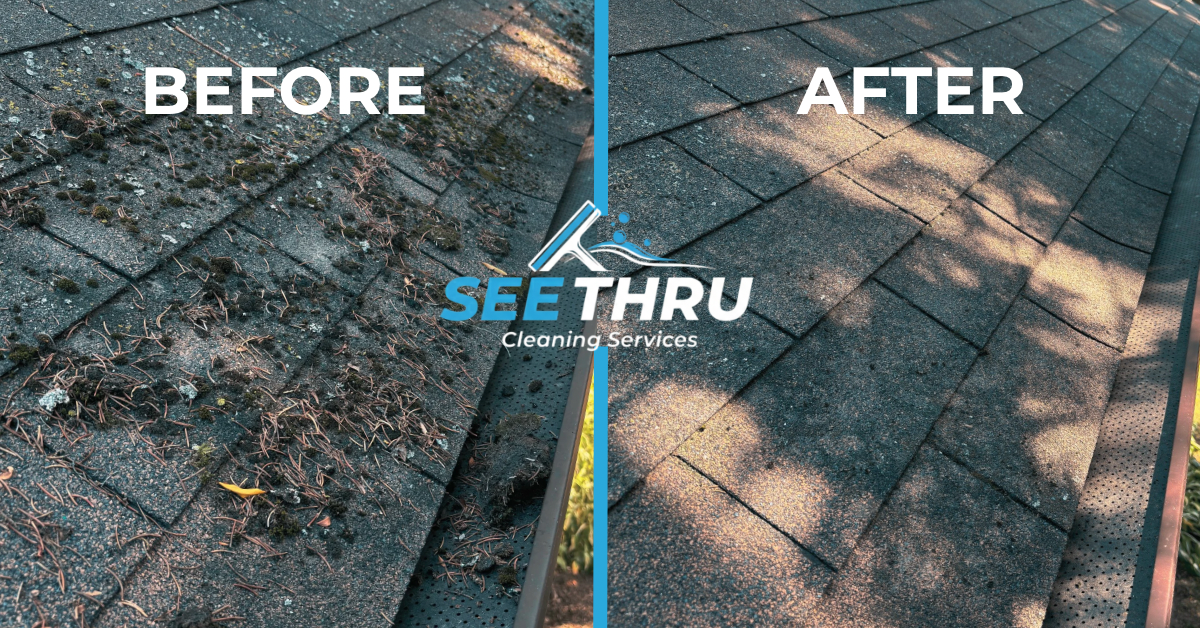 Roof cleaning results